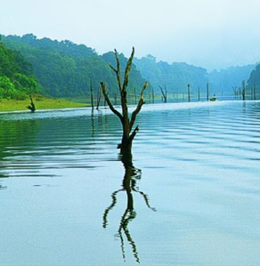 Thekkady